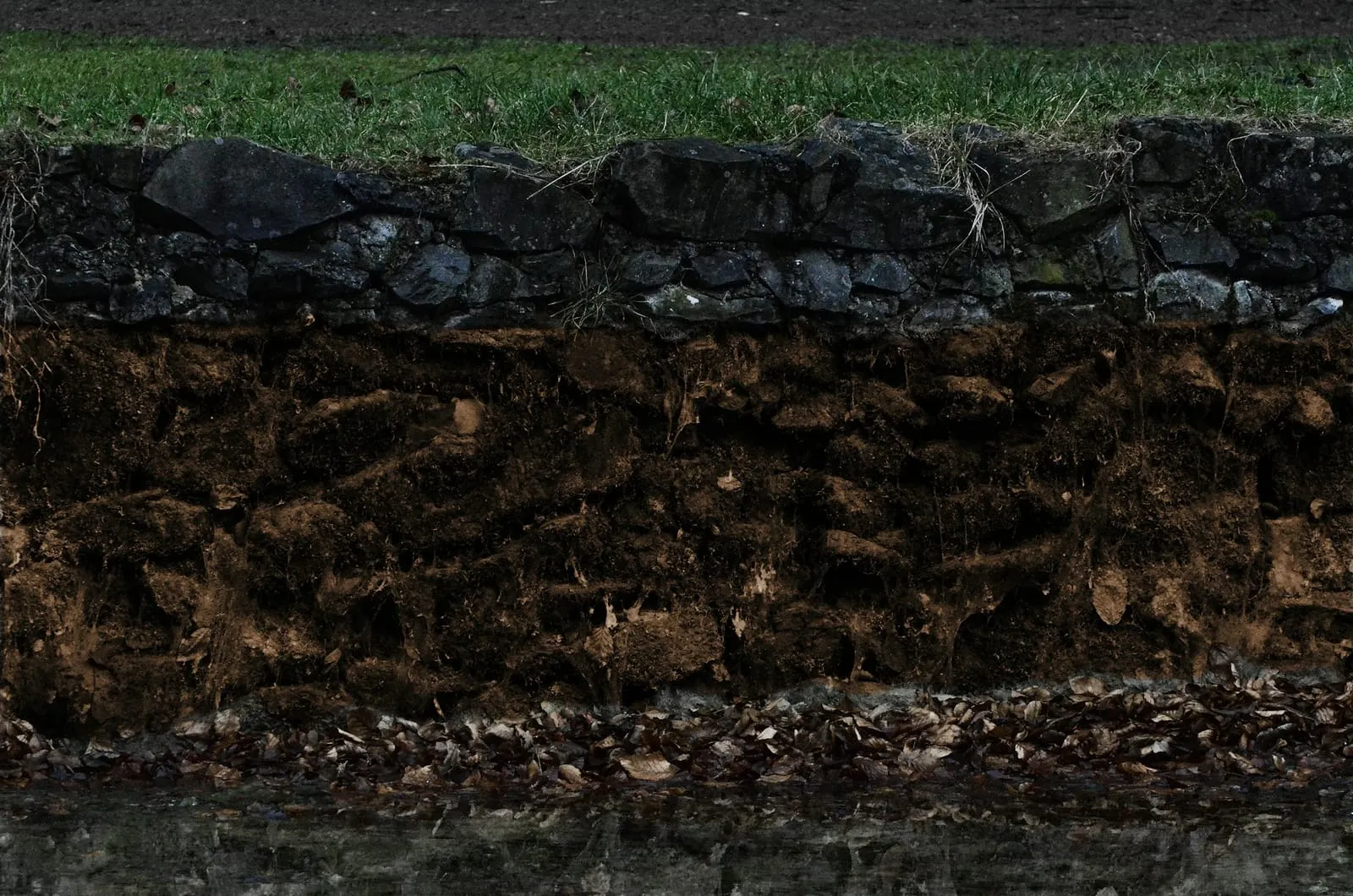 Die Gutachten sind da – der erste Dämpfer